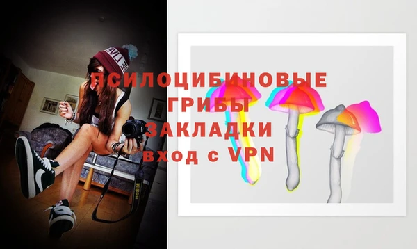 стафф Абинск