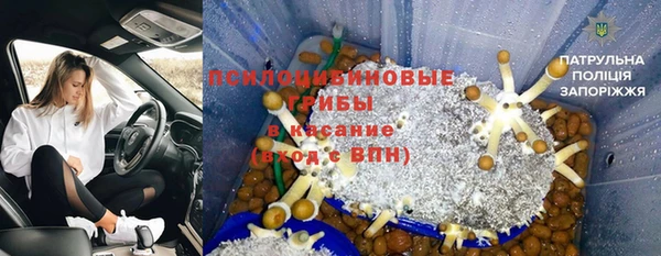 стафф Абинск