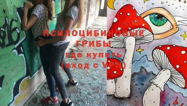 PSILOCYBIN Алзамай