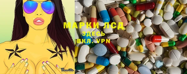 PSILOCYBIN Алзамай