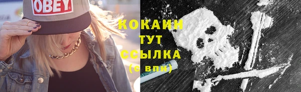 крисы Абдулино