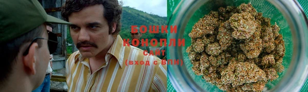 PSILOCYBIN Алзамай