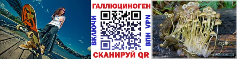 сайты даркнета телеграм  где можно купить наркотик  Анапа  Псилоцибиновые грибы Psilocybe 