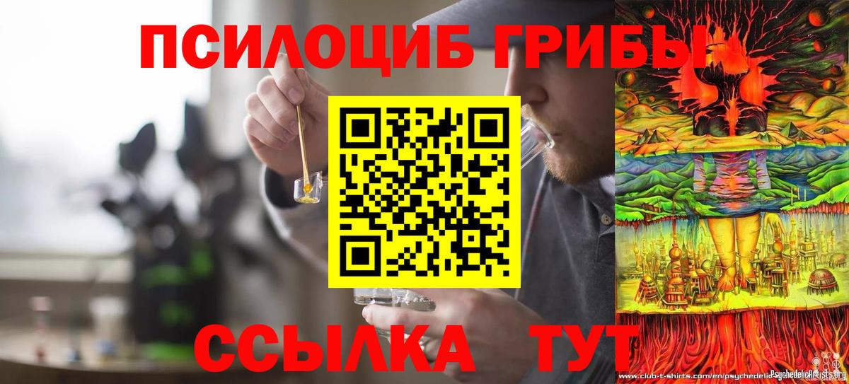 Псилоцибиновые грибы Psilocybe  Галлюциногенные грибы мухоморы  Анапа  Вход с VPN 